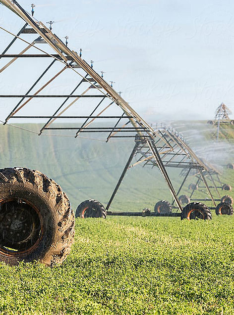 farm.jpg